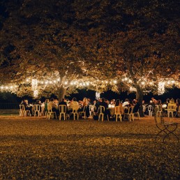 people under trees with string lights